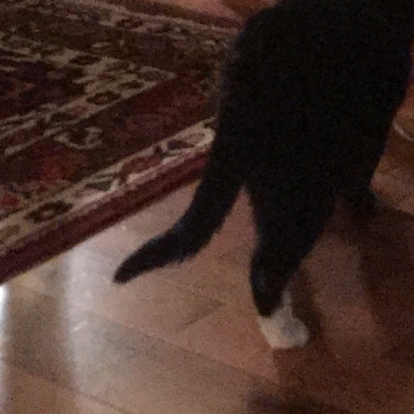 Meet your Posher, Sally - Picture 1 of 1